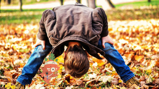Câest lâautomne ! Votre carnet des 5 sens pour la saison