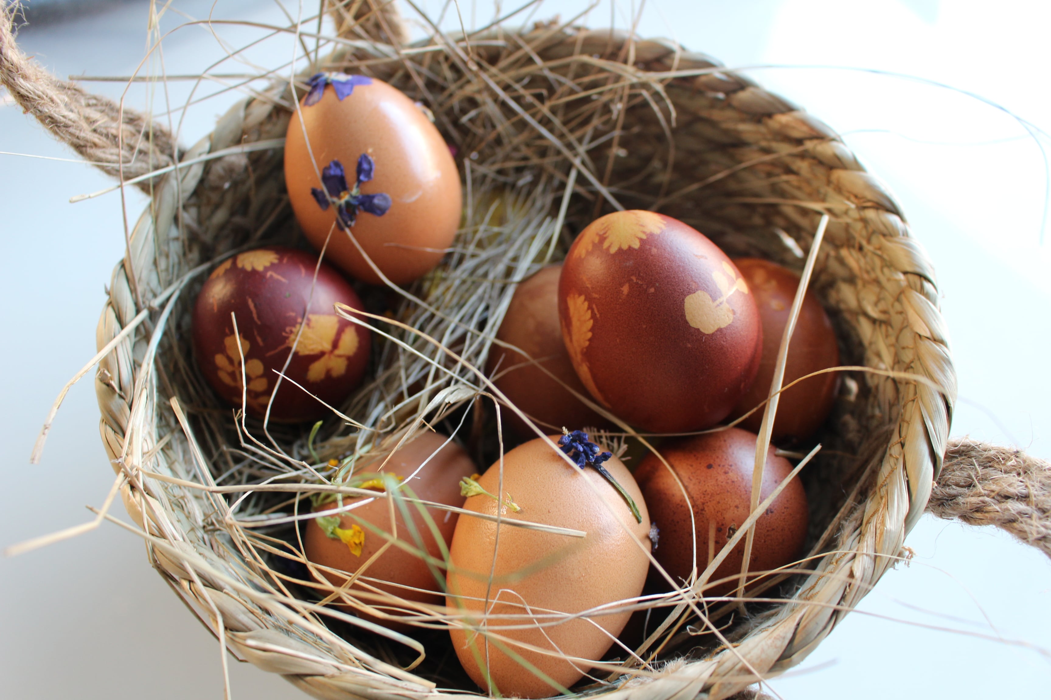 Atelier enfant : faire des œufs de Pâques originaux avec des matières –  Botaki