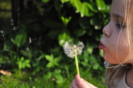 5 activités autour des fleurs pour les enfants