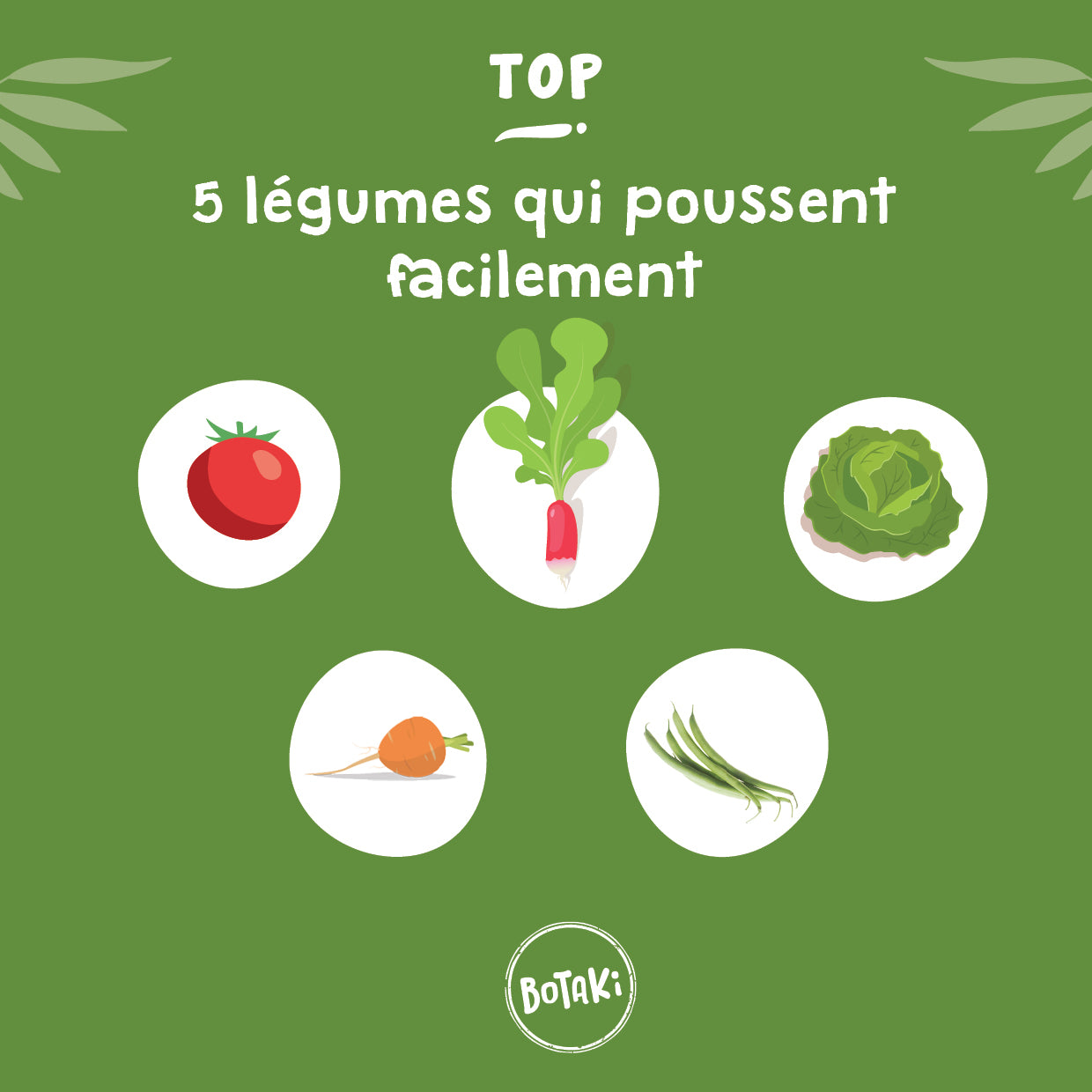 Kit Semis Salade | Crée ton potager maison