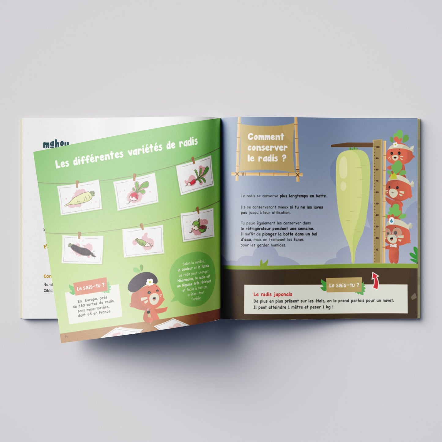 Le kit Semis Radis | Crée ton potager maison
