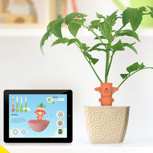 Coffret Totem Magique | Communique avec tes plantes !