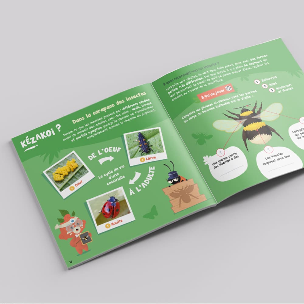 Magazine Insectes | Carnet d’exploration & d’activités nature