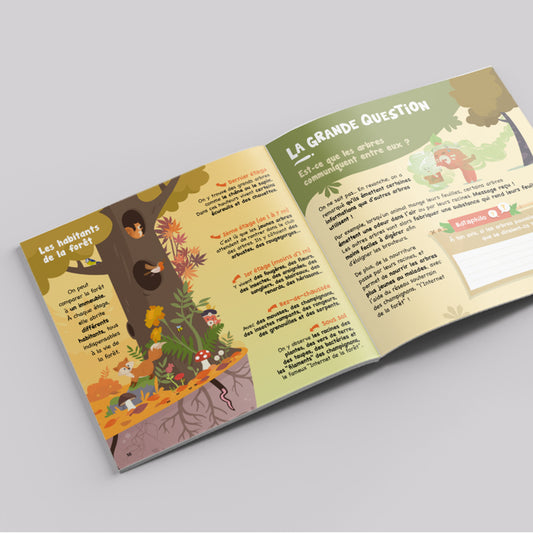 Magazine Forêt | Carnet d’exploration & d’activités nature