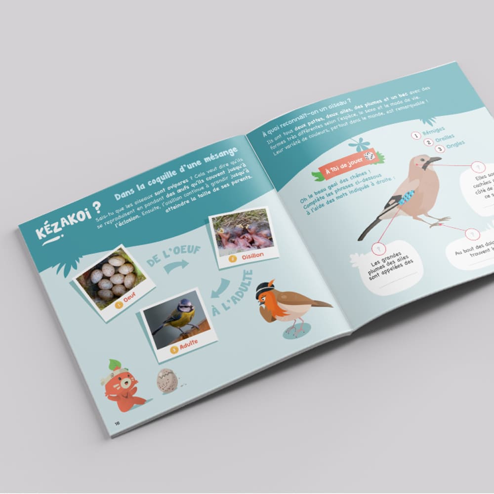 Magazine Oiseaux | Carnet d’exploration & d’activités nature